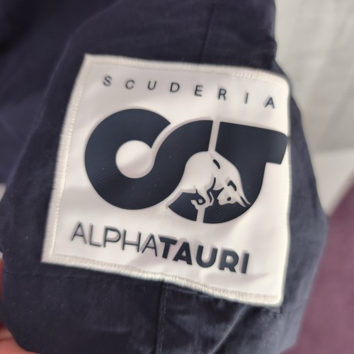 Scuderia alphatauri formula - f1,